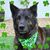Christine Biondolillo-Zades's profile image