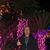 Kawika-David Contemplo's profile image