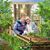 Renate Schellenberg's profile image