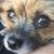 Abby Normal's profile image