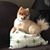 Shumaila L Duguay's profile image