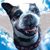 Kevin Neal's profile image
