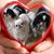Kimberly Aldridge's profile image