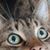 Mary Steinberg's profile image