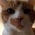Megan Menkveld's profile image