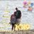 Janice Mottern-Calise's profile image
