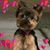 Kim Wlash Raptis's profile image
