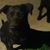 Javier Vidales's profile image