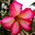 Kimberly Bufford's profile image