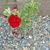 Carolyn Brintnall's profile image