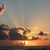 Patty Sweezy Sorensen's profile image