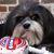 Tammy Beatty's profile image