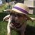 Bobbi Brandt's profile image
