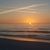 Emily Roering's profile image