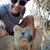 David Sisson's profile image