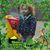 Sharon Murphy Clark's profile image
