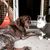Jeannine Hine's profile image