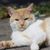 Ruth Ann Walker-Elliott's profile image