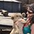 Melissa Ajarn's profile image
