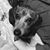 Leigh McAdams's profile image