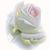 Ebtissam M. Badawoud's profile image
