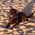 Diane Garber Calder's profile image