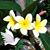 Charla McGrath's profile image
