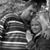 Sondra Hedge's profile image