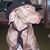 Ben Milnes's profile image