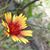 Sandra McGlade's profile image