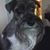 Lynne Kerr's profile image