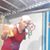 Maurice Duble's profile image