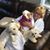 Linda Griva Boone's profile image