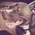 Bruce Kenneth Louis Brown's profile image