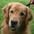 Terri McGlynn-Weiss's profile image