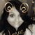 Micki Dail's profile image