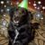 Brian Beezer Hill's profile image