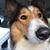 Sandy Cavender's profile image