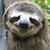 Suzanne Breen Leavens's profile image