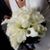 Jacqueline Krage's profile image