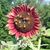 Patti Feehley's profile image