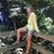 Joelle Chetlain's profile image