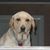 Santiago Duverge's profile image