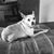 Kimberly Van Eidie's profile image