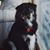 Lori Lazarian O'Malley's profile image