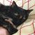 Lori Wagel's profile image