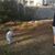 Wes Glisson's profile image