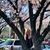 Donna Stroud's profile image