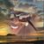 Deborah Harris's profile image