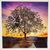 Carol Fresneda's profile image